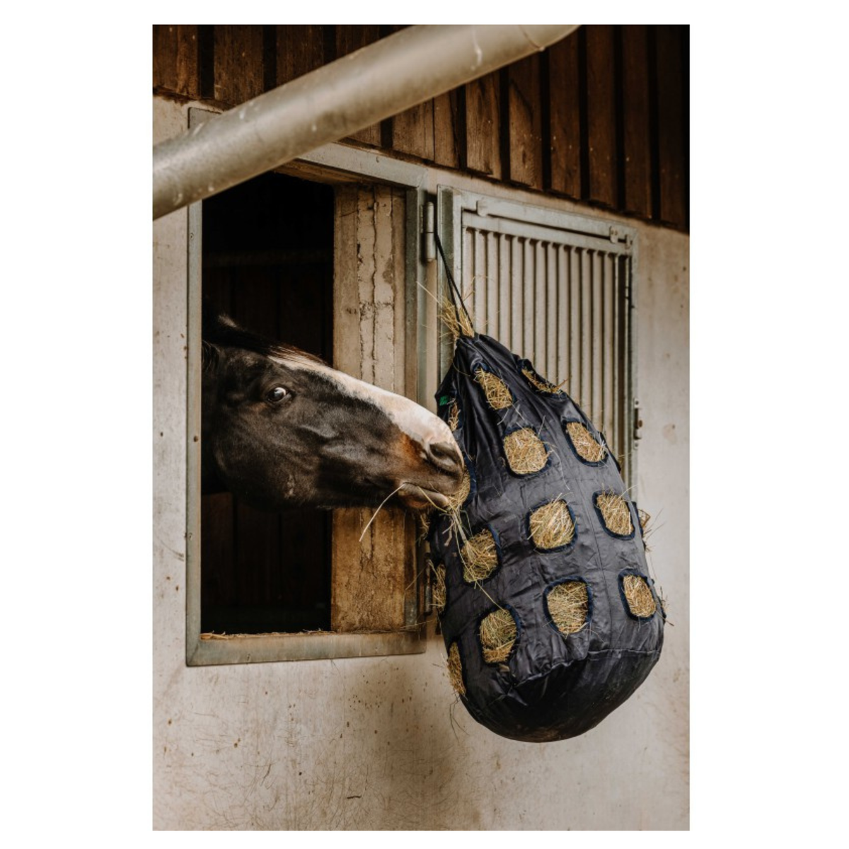 Hippotonic Hø pose til heste fra EKKIA SAS