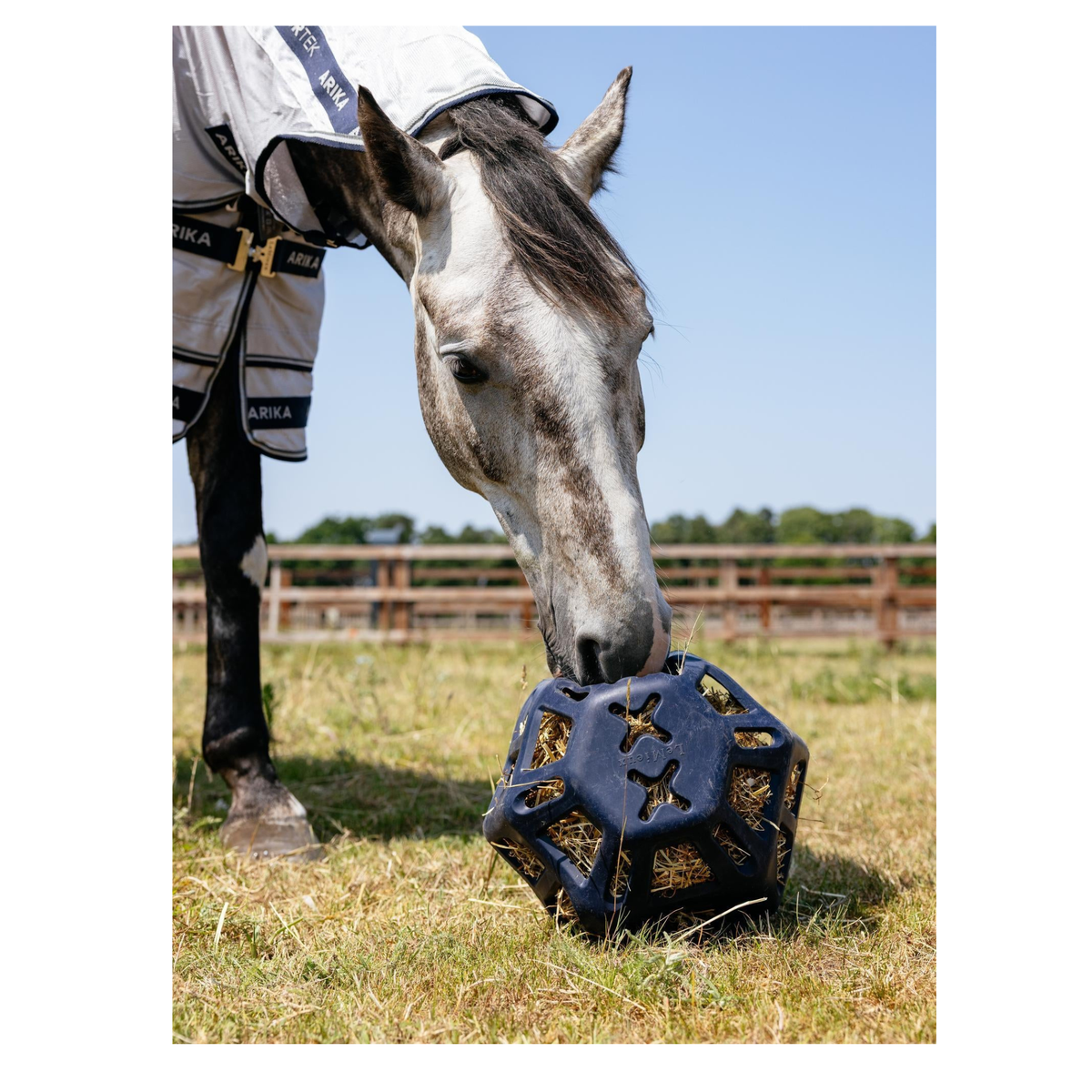 LeMieux Hay Ball Navy
