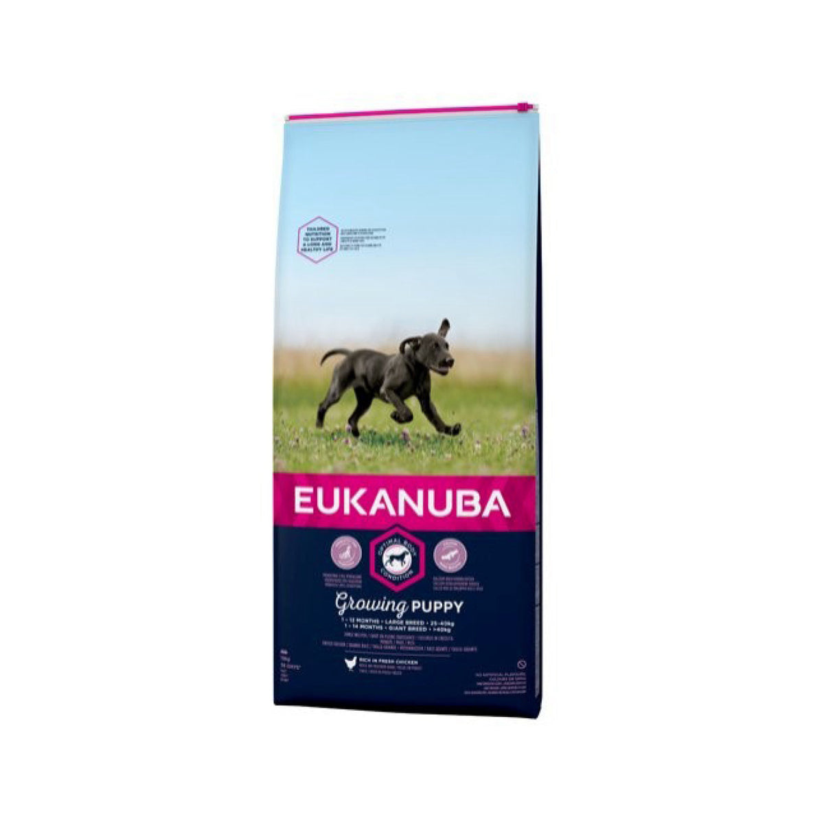 Eukanuba Puppy Large Breed i 12 kg sæk til hunde