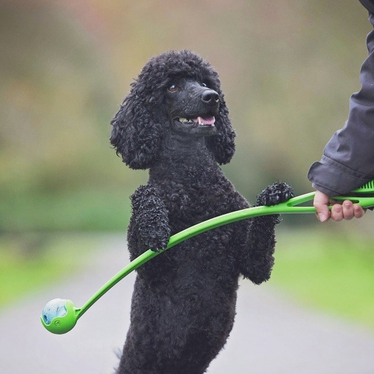 Chuckit Sport Launcher 18M i 18 m pakning til hunde – billede 2