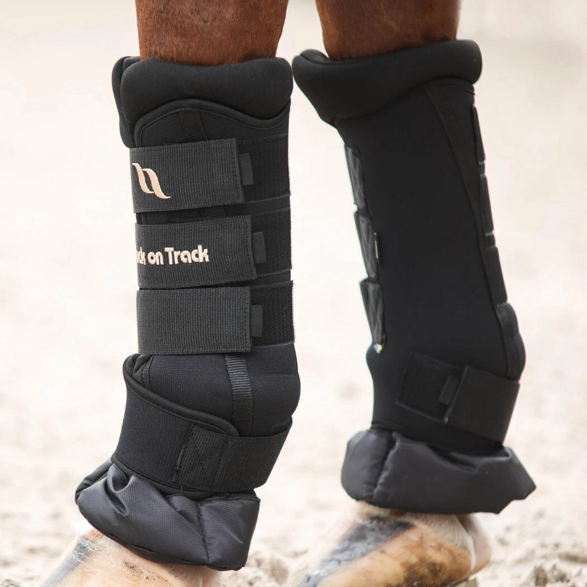 Staldbandage Royal Deluxe XL til heste fra Back on Track