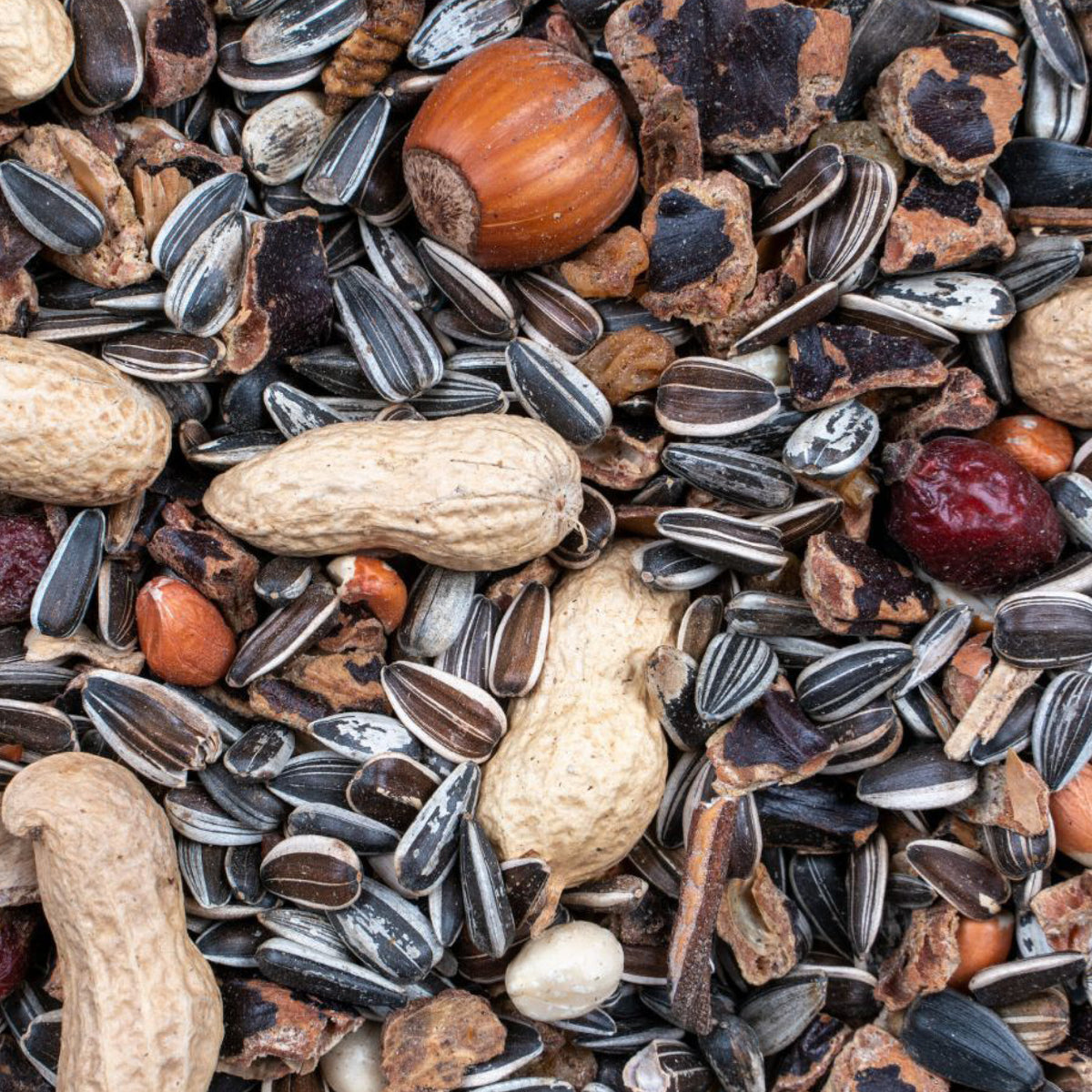 Egernfoder Nut Mix i 500 g pose til høns fra Greenline Deli Nature – billede 2