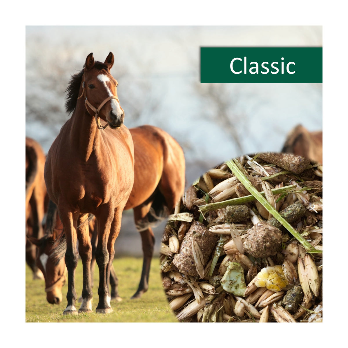 HorsePro Classic i 20 kg sæk til heste fra NAG