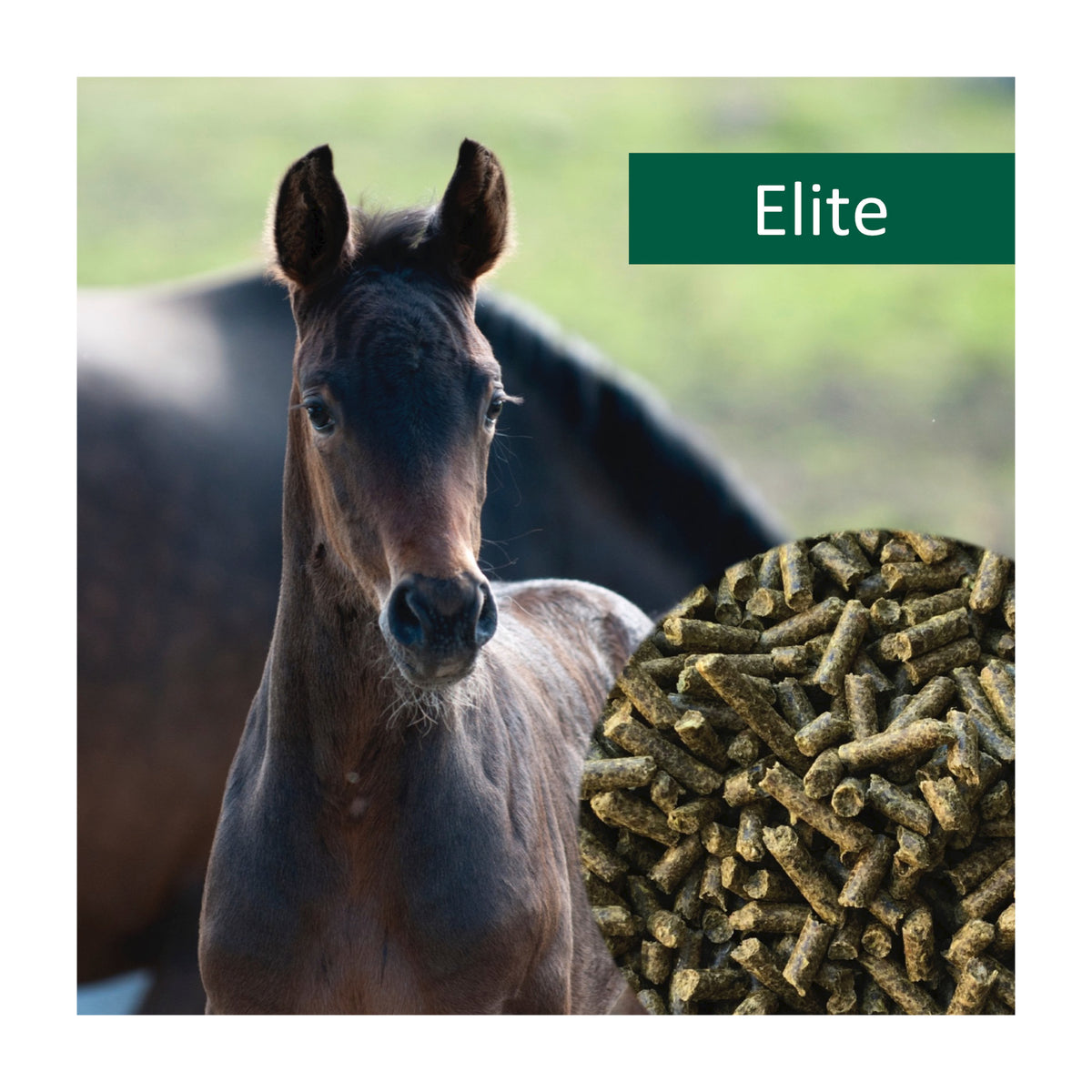 HorsePro Elite i 20 kg sæk til heste fra NAG