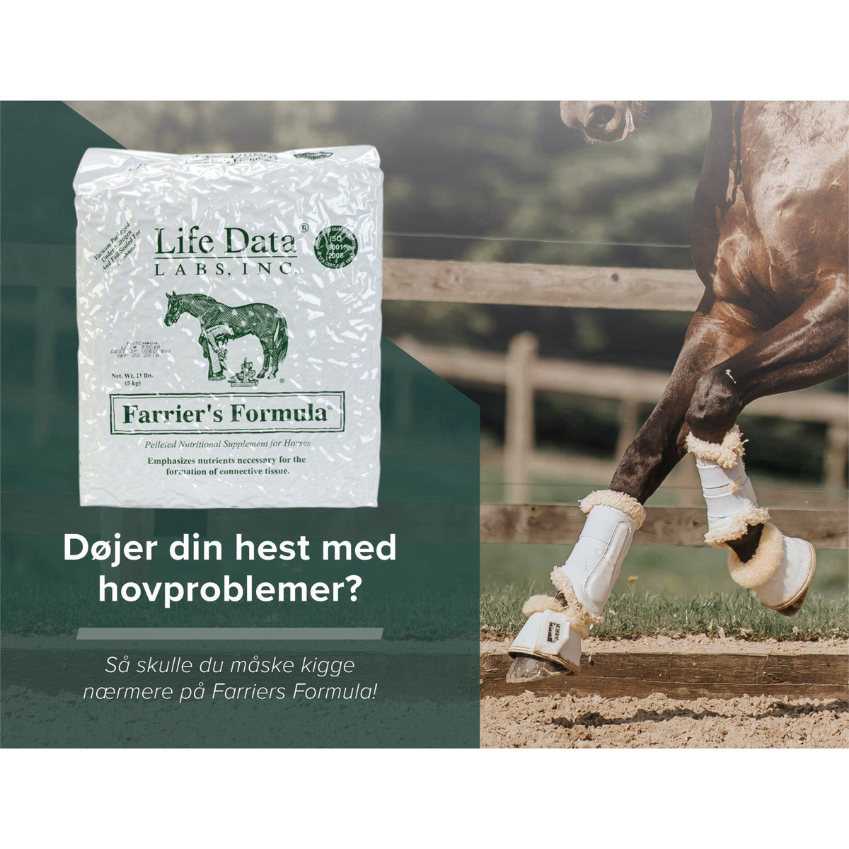 Life Data Farrier's Formula Refill i 5 kg pose til heste – billede 2