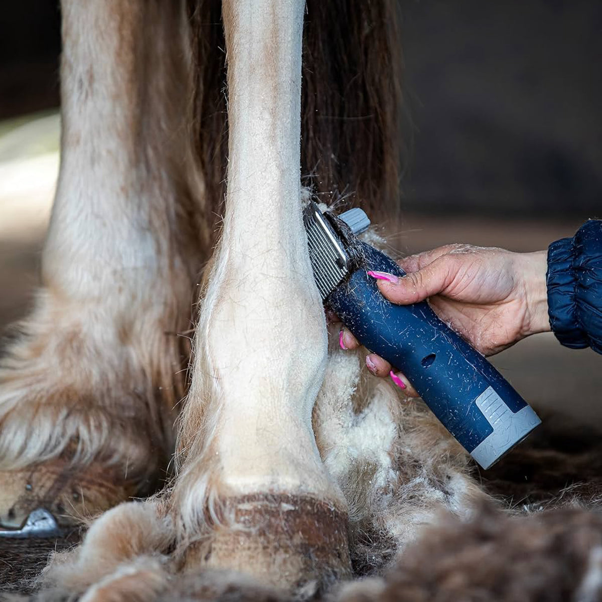 Hesteklipper Lister Eclipse til heste fra WAHL GmbH – billede 7