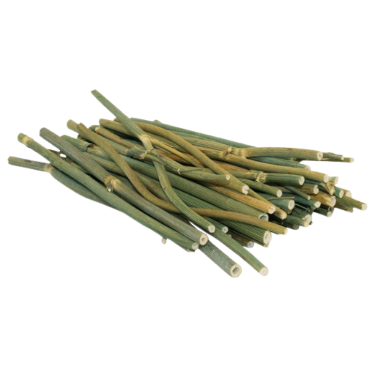 JR Farm Dild Stick i 15 g pose til kaniner og gnavere – billede 2