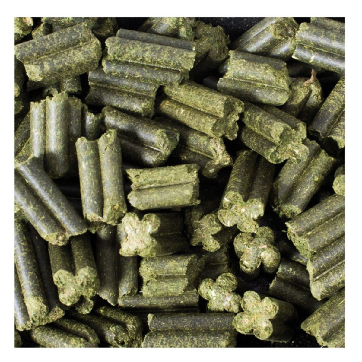 JR Farm Quad-Bits Persille i 300 g pose til kaniner og gnavere – billede 2