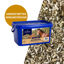 D&H Echinacea / rød solhat i 1 kg pose til heste fra Dodson & Horrell