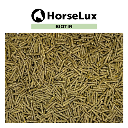 HorseLux Biotin Pellets hestefoder i 1 kg pose – billede 2