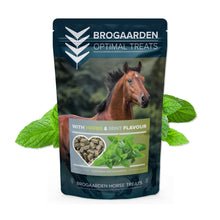 Brogaarden Optimal Treats Urter & Pebermynte hestefoder i 1 kg pose