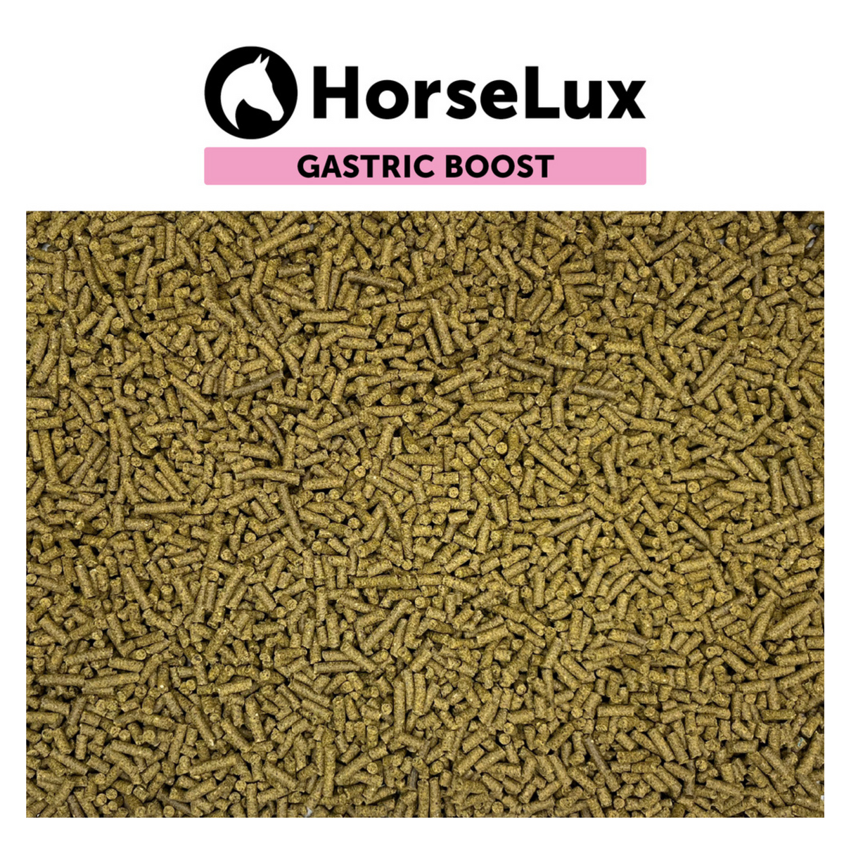 HorseLux Gastric Boost i 1,5 kg pose til heste – billede 2