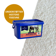 D&H Electrolytes hestefoder i 2 kg pose fra Dodson & Horrell