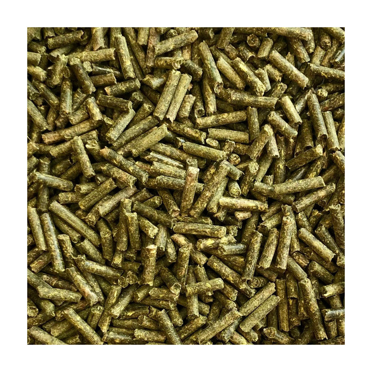 D&H Digestive Support hestefoder i 1,5 kg pose fra Dodson & Horrell – billede 2