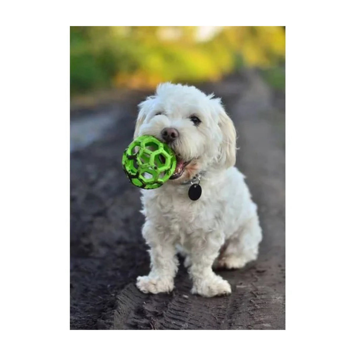 HOL-EE Roller Jumbo 19cm i 19 cm pakning til hunde fra JW – billede 5