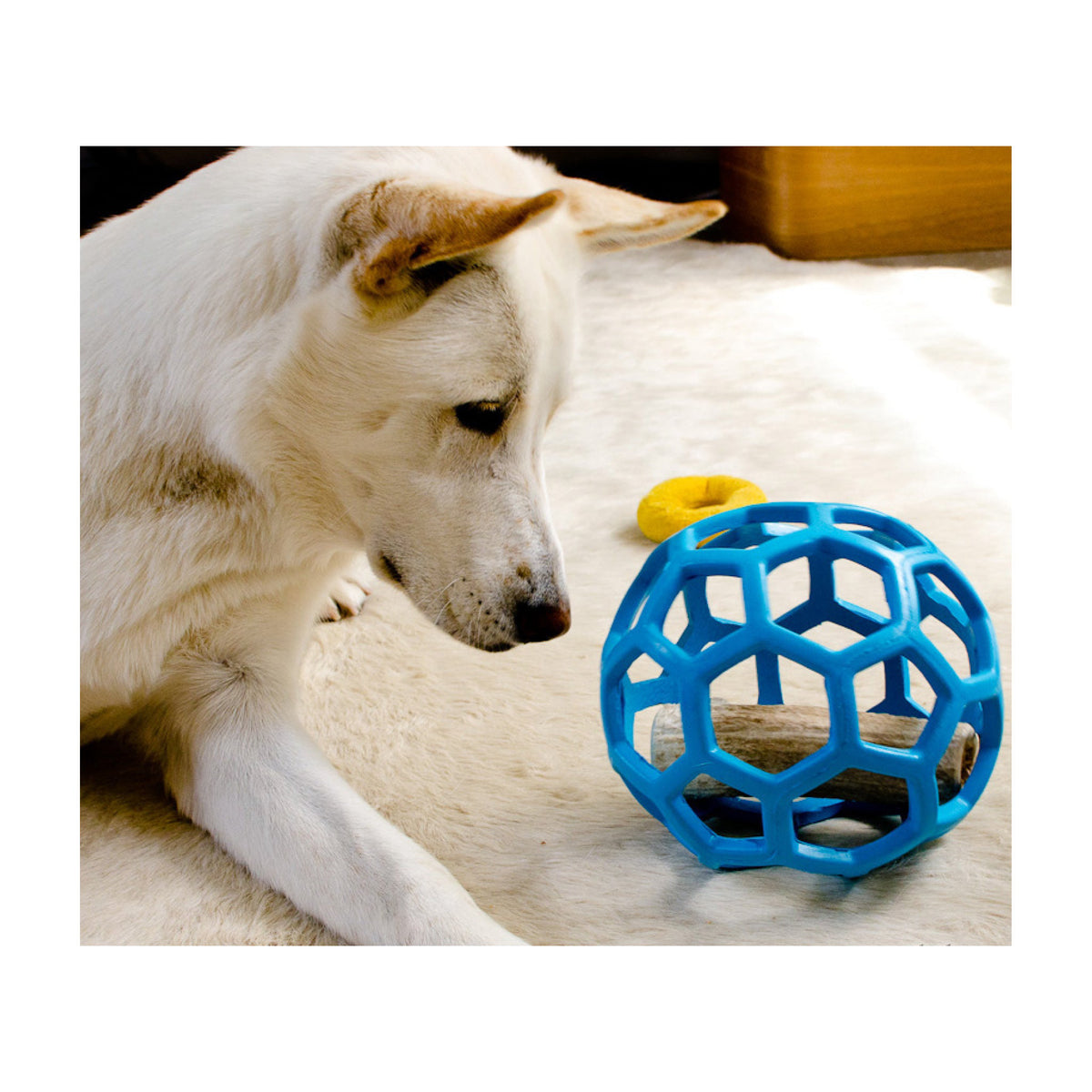 HOL-EE Roller Jumbo 19cm i 19 cm pakning til hunde fra JW – billede 2