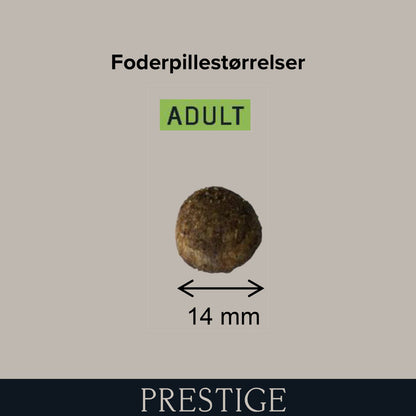 Prestige Adult Medium i 14 kg sæk til hunde – billede 2