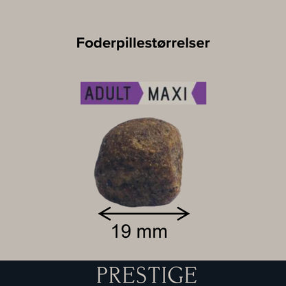 Prestige Adult Maxi i 14 kg sæk til hunde – billede 2