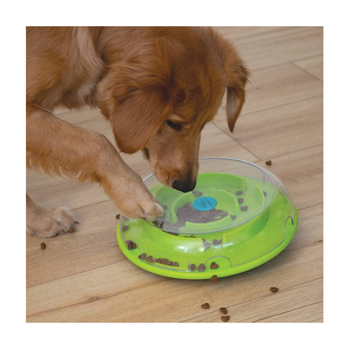 Wobble Bowl Aktiveringslegetøj til hund til hunde fra Nina Ottoson – billede 2