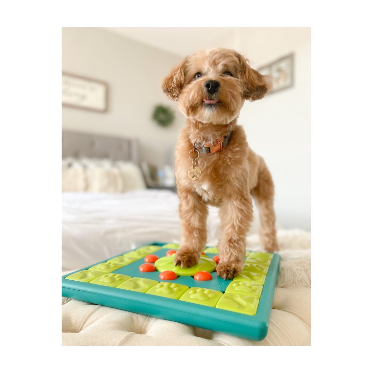 Multipuzzle Aktivering til hund til hunde fra Nina Ottoson