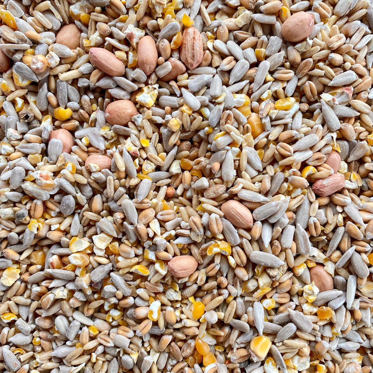 4Birds Vildfugleblanding Uden Skaller i 4 kg pose vildtfuglefoder fra Bird Supreme – billede 2