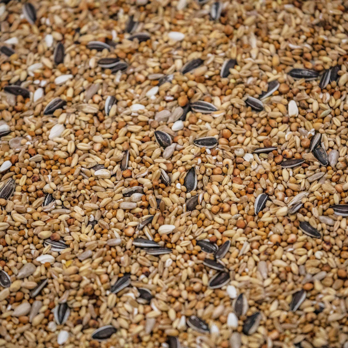 4Birds Vildfugleblanding Standard i 15 kg sæk vildtfuglefoder fra 4Bird – billede 2