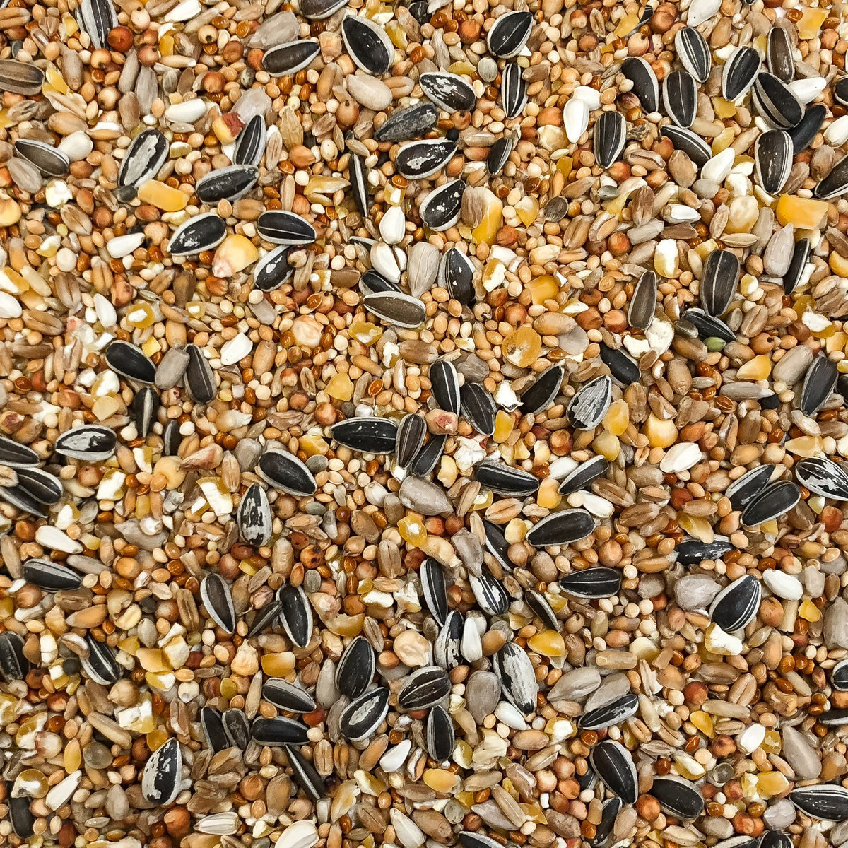 4Birds Vildfugleblanding Luxus i 4 kg pose vildtfuglefoder fra 4Bird – billede 3