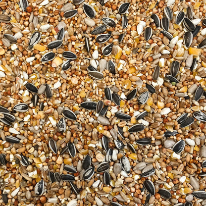 4Birds Vildfugleblanding Luxus i 15 kg sæk vildtfuglefoder fra 4Bird – billede 2