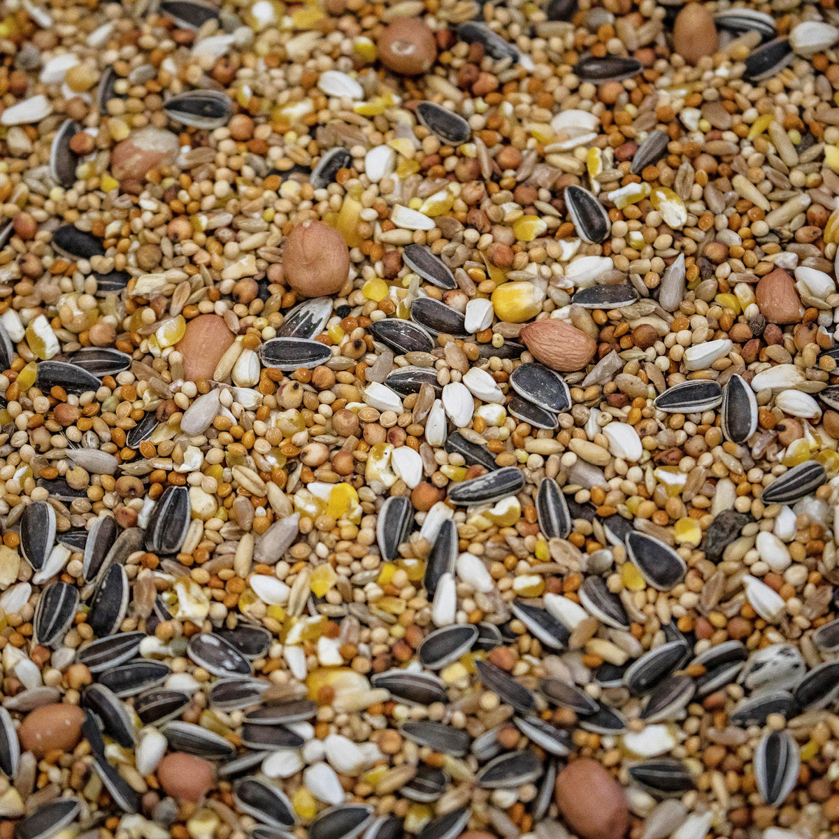 4Birds Vildfugleblanding Super Luxus i 4 kg pose vildtfuglefoder fra 4Bird – billede 3