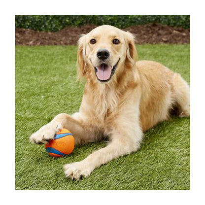 Chuckit Ultra Ball X-Large til hunde – billede 3