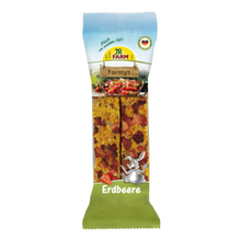 JR Farm Jordbær 160 g i 160 g pose til kaniner og gnavere