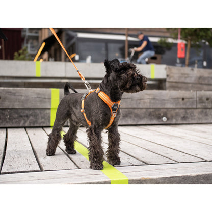 DOG Copenhagen Hundesele Comfort Walk Air str. L Grøn til hunde – billede 5