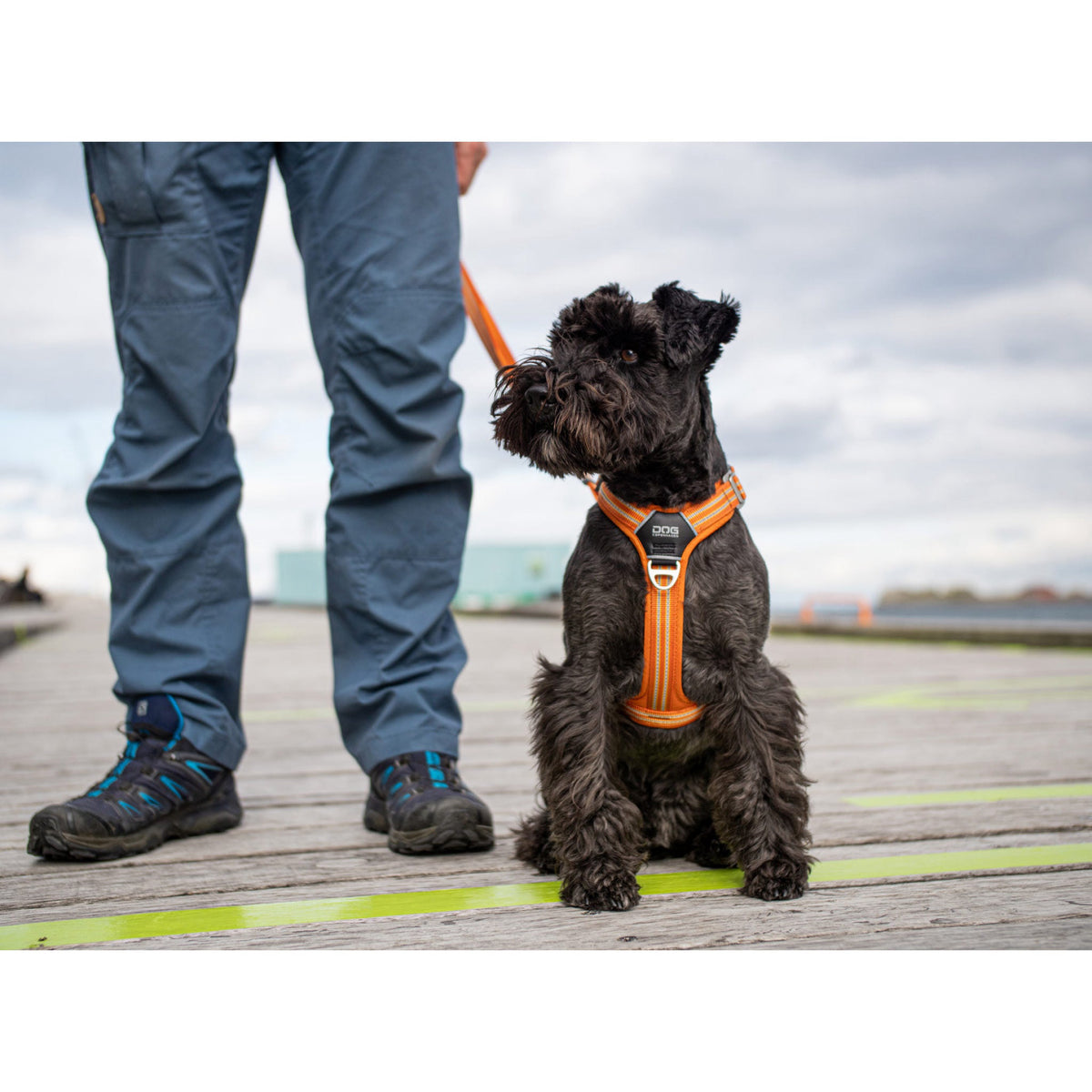 DOG Copenhagen Hundesele Comfort Walk Air str. L Grøn til hunde – billede 6