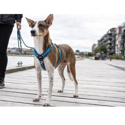 DOG Copenhagen Hundesele Comfort Walk Air str. S Grøn til hunde – billede 7