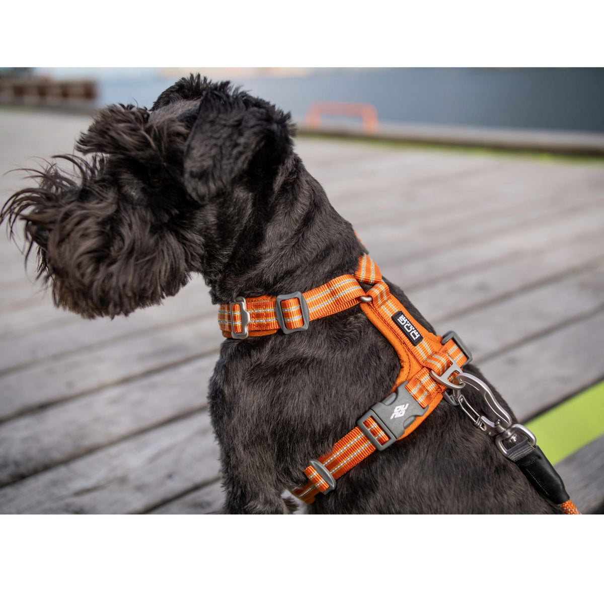 DOG Copenhagen Hundesele Comfort Walk Air str. XL Grøn til hunde – billede 6