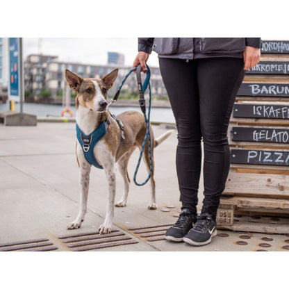 DOG Copenhagen Hundesele Comfort Walk Pro str. L Grøn til hunde – billede 6