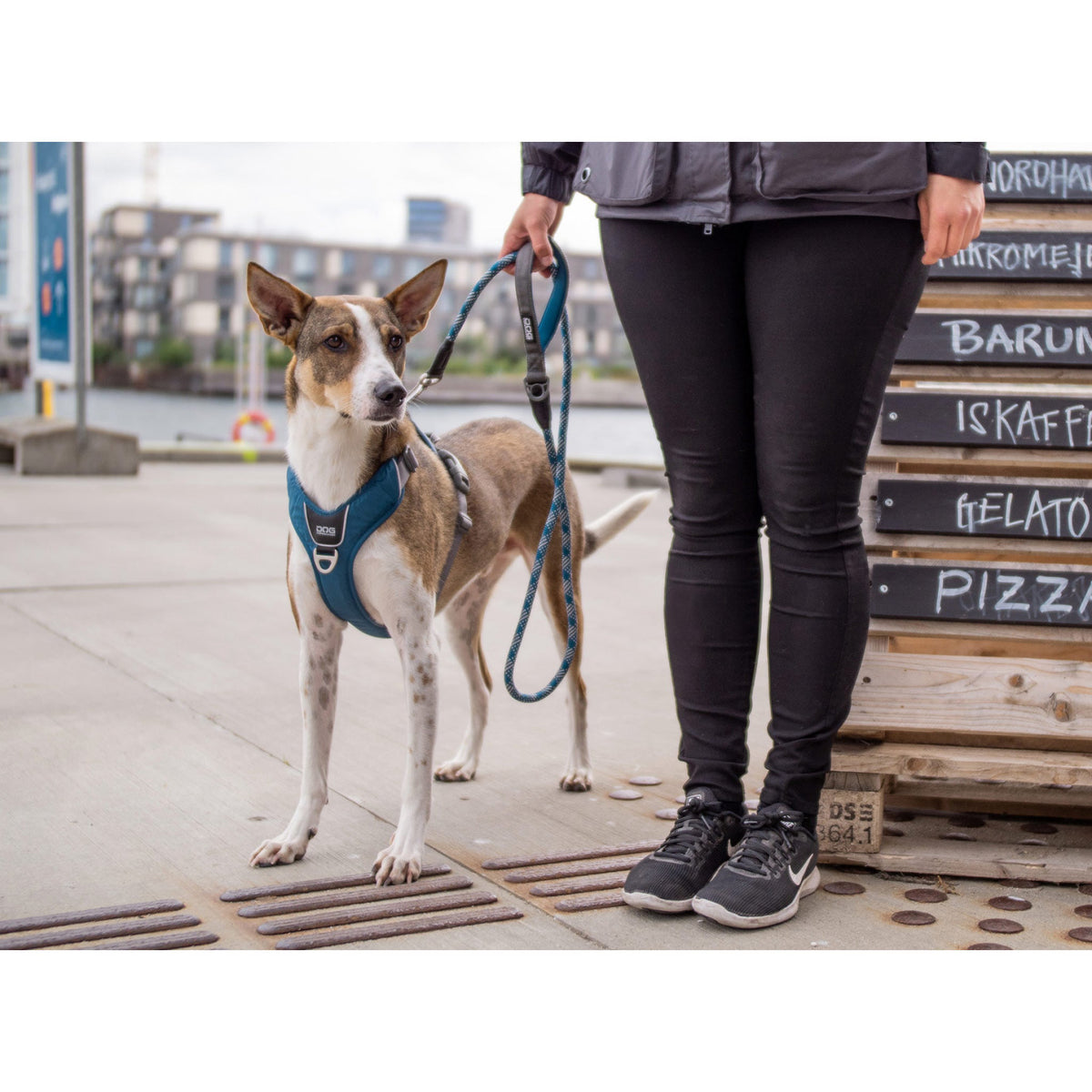 DOG Copenhagen Comfort Walk Pro Blå til hunde – billede 2