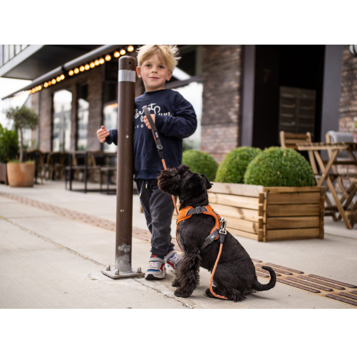 DOG Copenhagen Hundesele Comfort Walk Pro str. L Grøn til hunde – billede 5