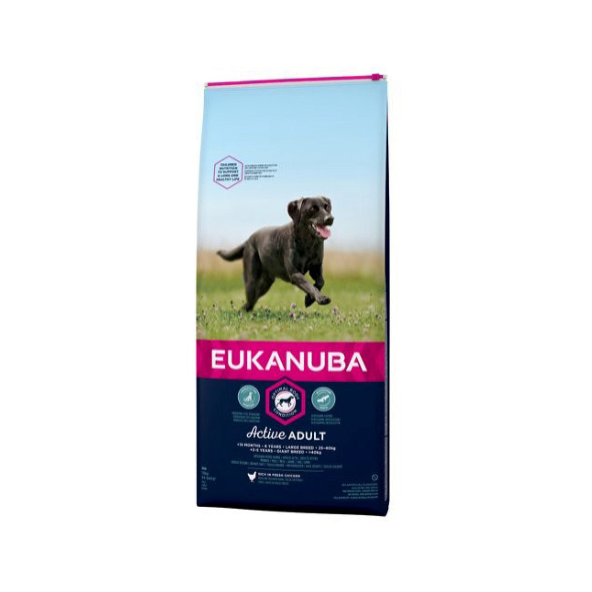Eukanuba Adult Large Breed i 12 kg sæk til hunde