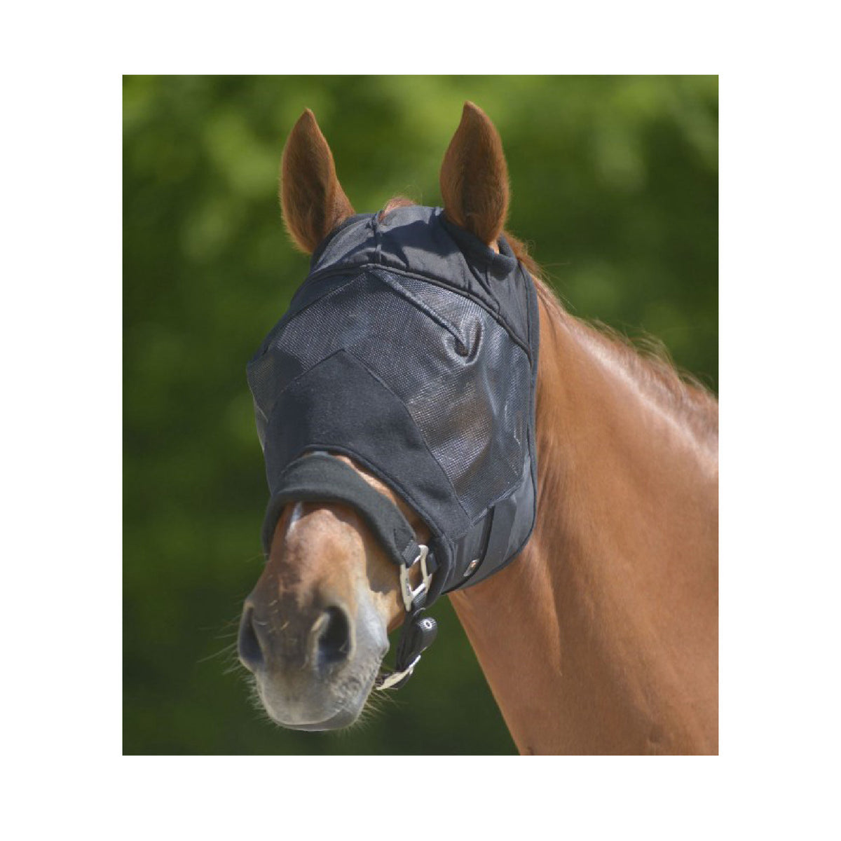 Waldhausen Premium Fluemaske u. Ører Sort til heste