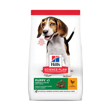 Hill’s Puppy Medium breed kylling i 12 kg sæk til hunde fra Hills