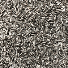 Solsikkefrø Stribet i 5 kg pose vildtfuglefoder fra Brogaarden