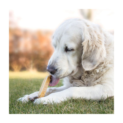 Yaki Orginal Osteben Medium 60 i 70 g pose til hunde – billede 2