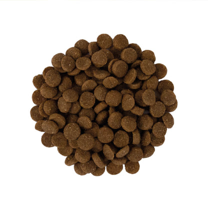 ARION Growth Puppy Large Chicken i 12 kg sæk til hunde – billede 2