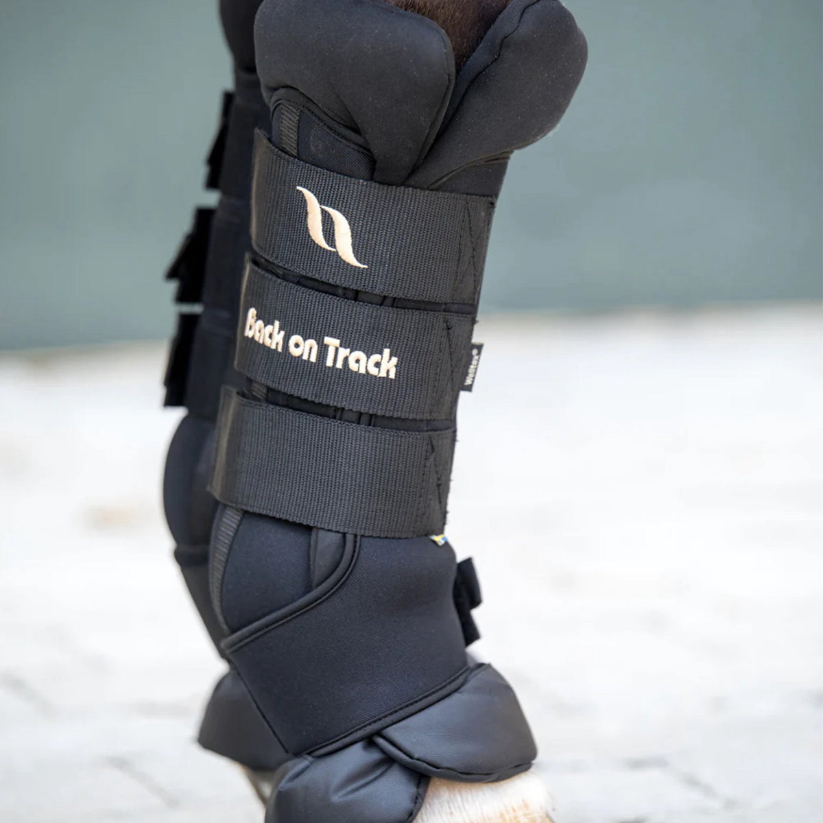 Staldbandage Royal Deluxe L til heste fra Back on Track