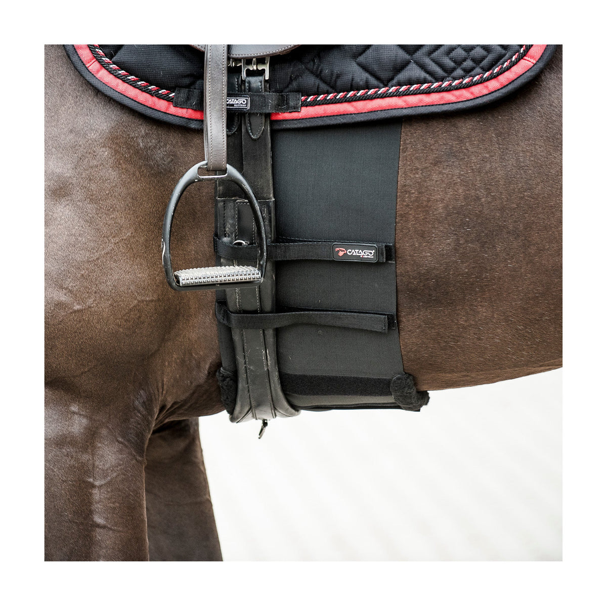 Body Shield Cob til heste fra Brogaarden