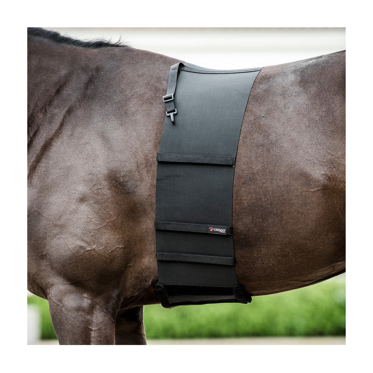 CATAGO Body Shield Bodybandage til heste
