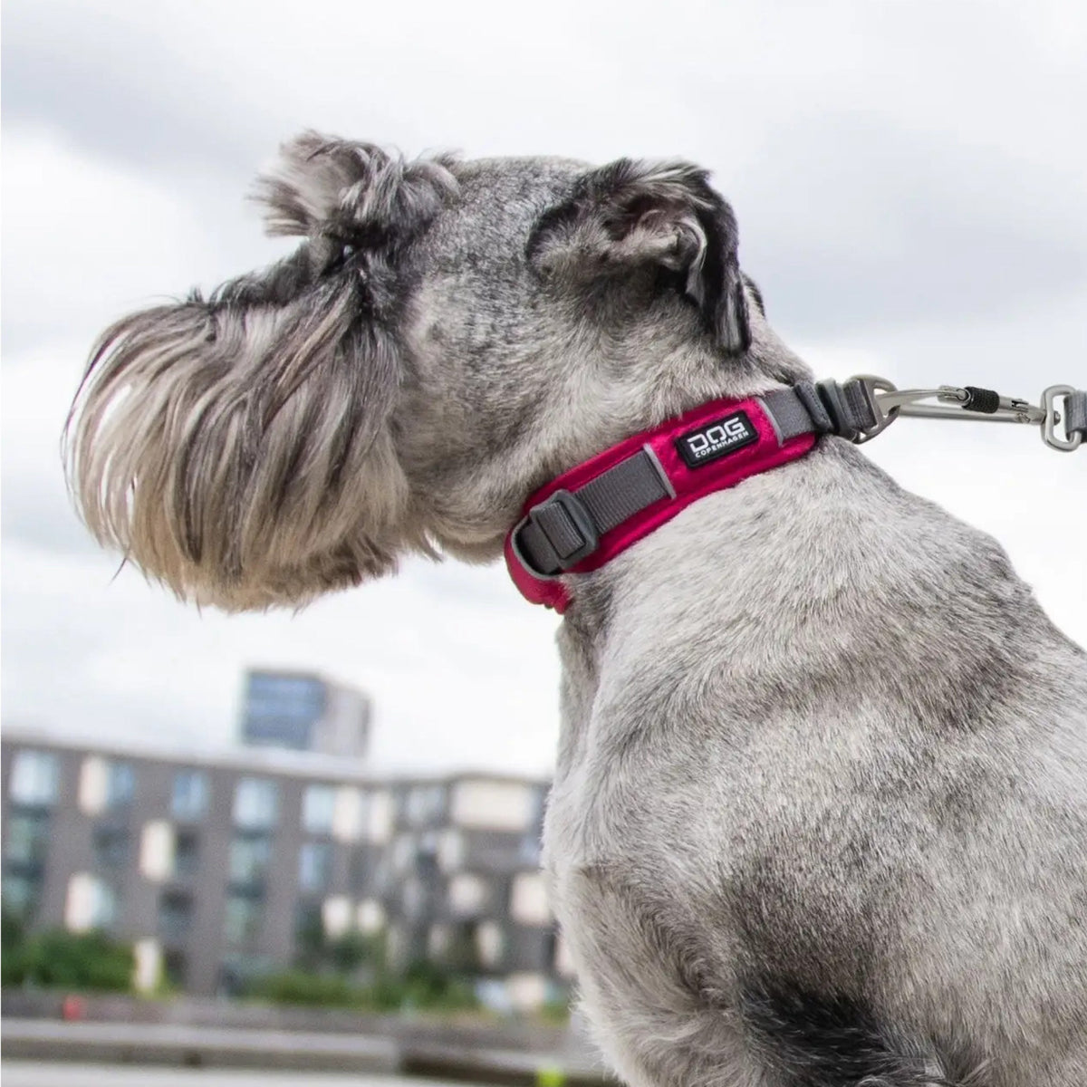Urban Explorer halsbånd L Pink til hunde fra Brogaarden