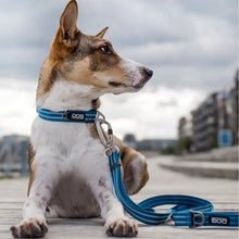Urban Freestyle line L Blå til hunde fra Brogaarden