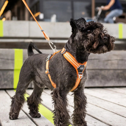 DOG Copenhagen Urban Freestyle Line Orange til hunde – billede 2